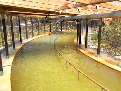 クアパーク長湯 ~クアハウス~ クアパーク長湯 ~クアハウス~